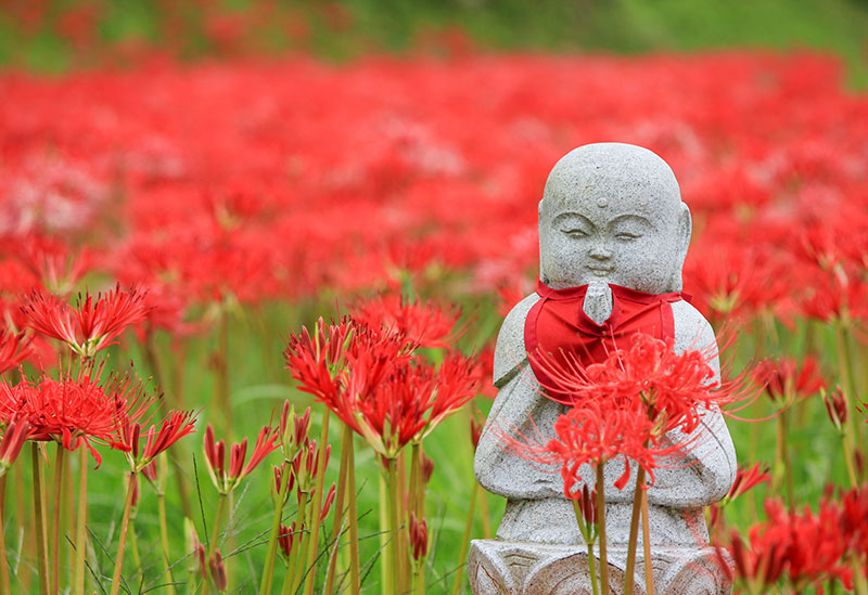 信濃比叡 廣拯院