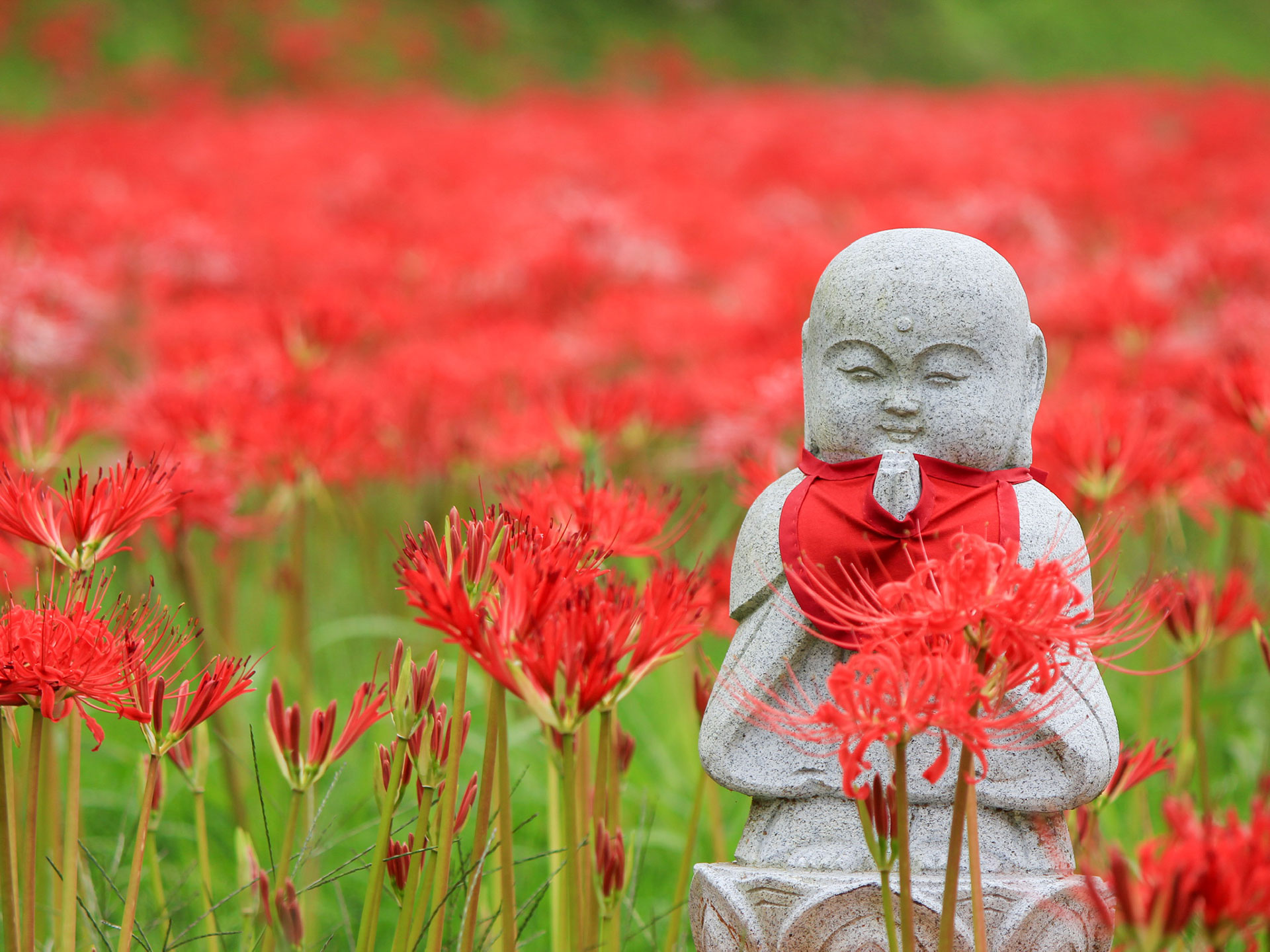 信濃比叡 廣拯院
