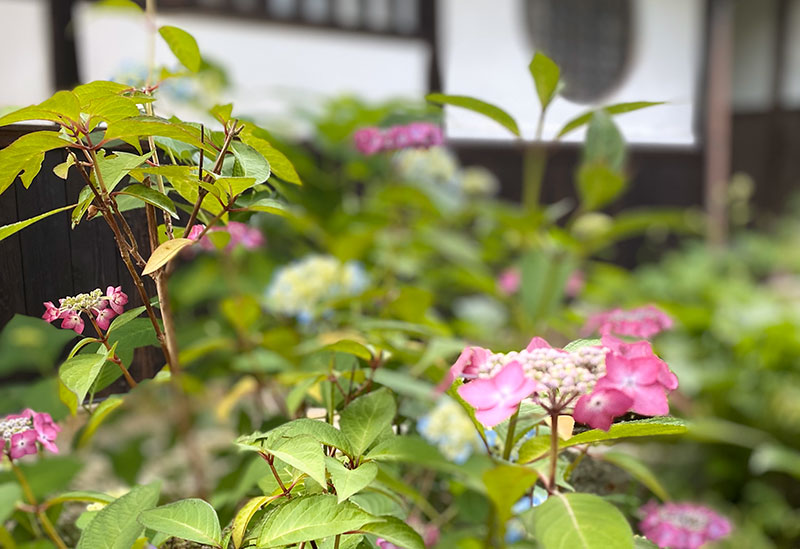 日蓮宗 勅命山 日應寺