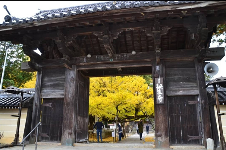 浄土宗特別寺院　誕生寺