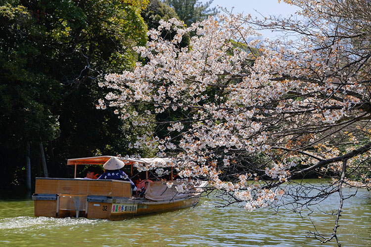 ぐるっと松江堀川めぐり（松江堀川遊覧船）