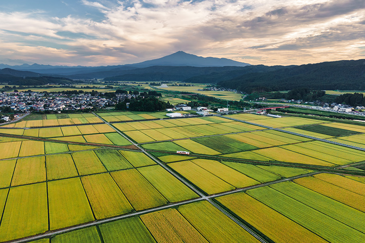 由利高原鉄道