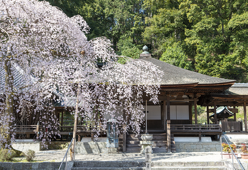 天野山金剛寺