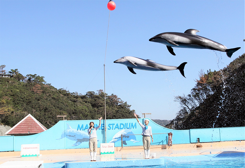 下田海中水族館