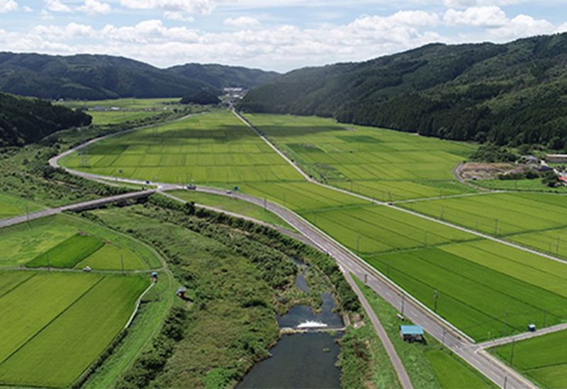 道の駅　林林館