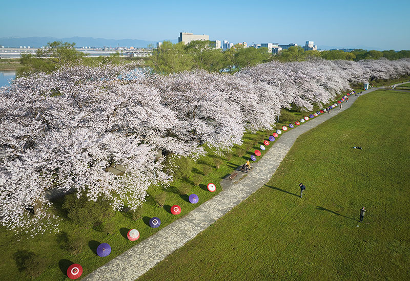 展勝地公園