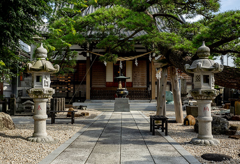 新宿・中野