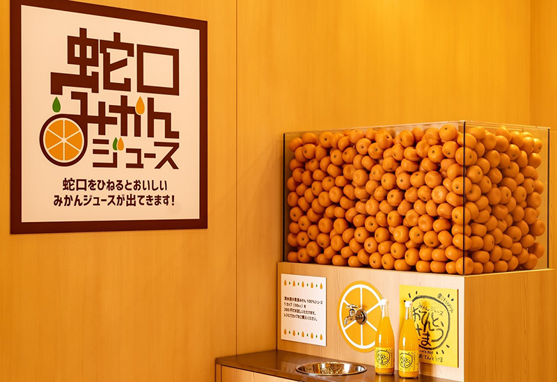 日本平ロープウェイ