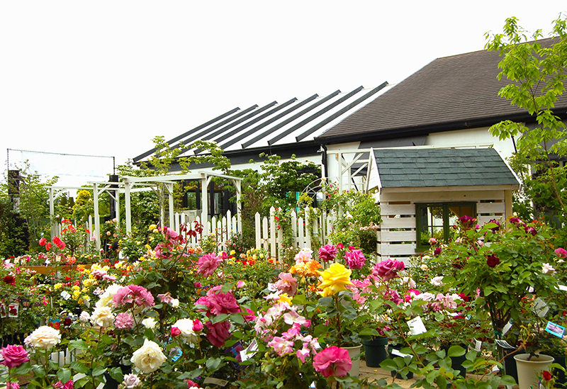 あいあいパーク