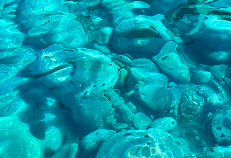 積丹神威クルーズ