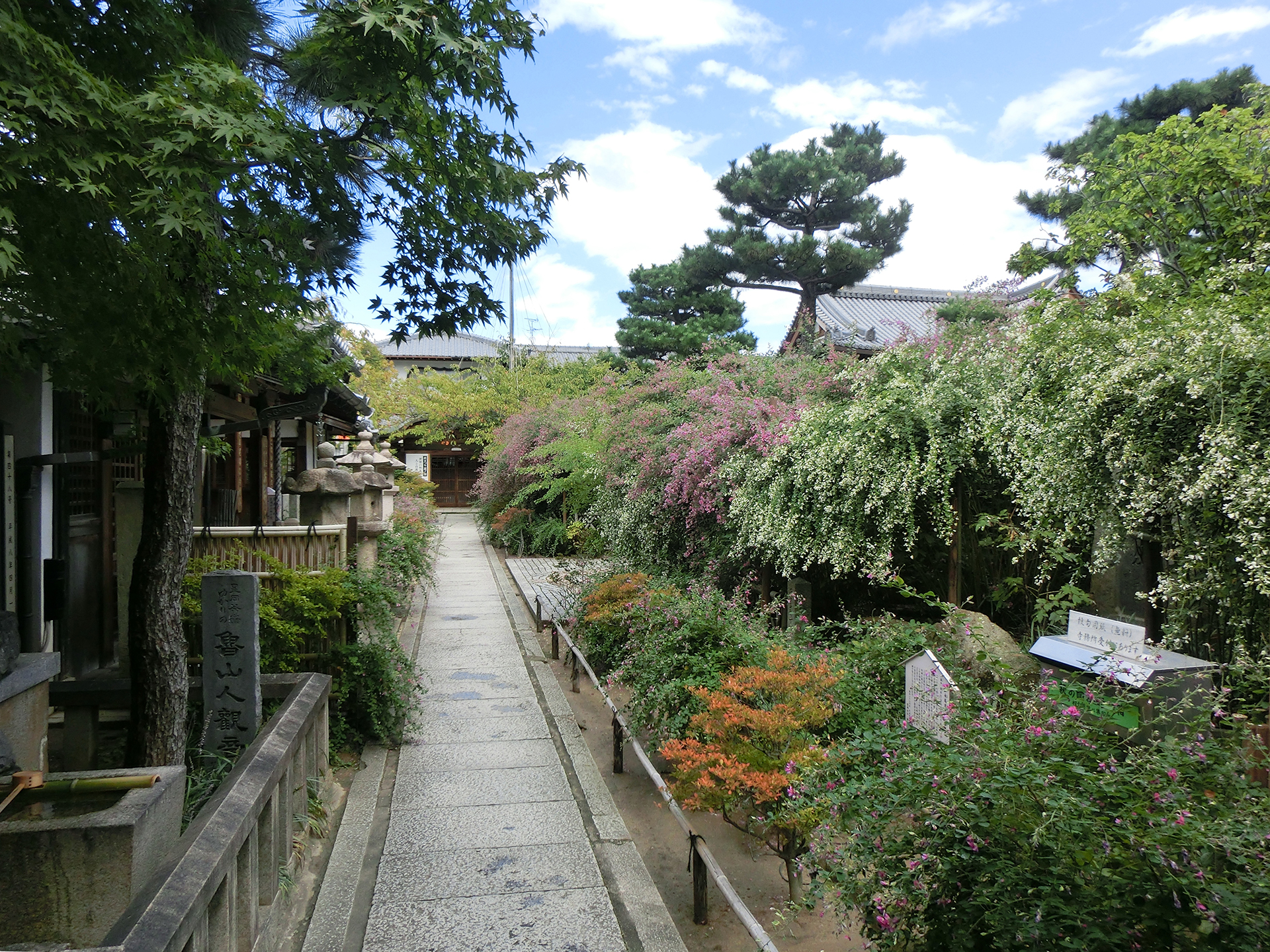 東光院 萩之寺