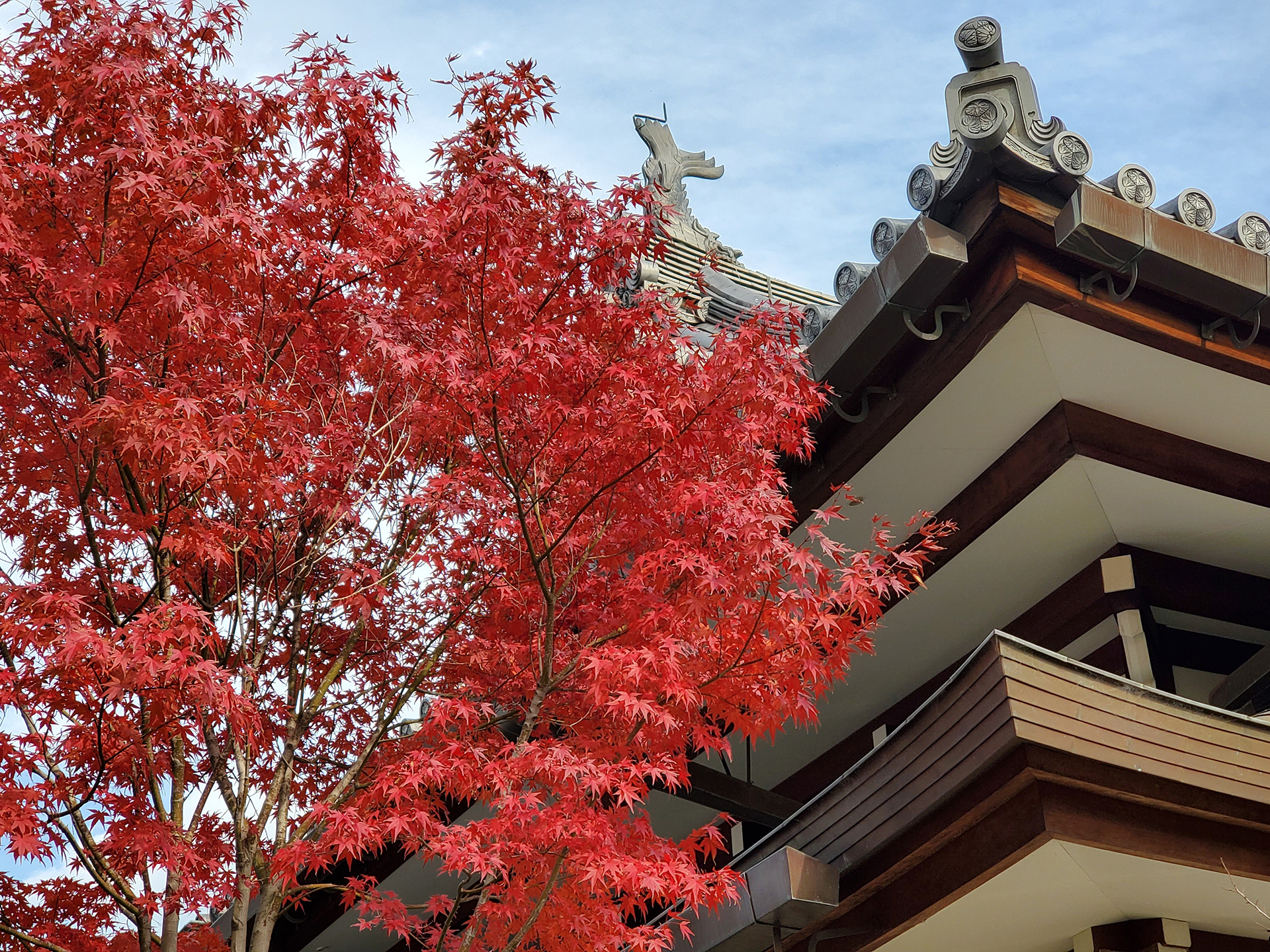 東光院 萩之寺