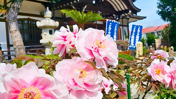 春の画像1