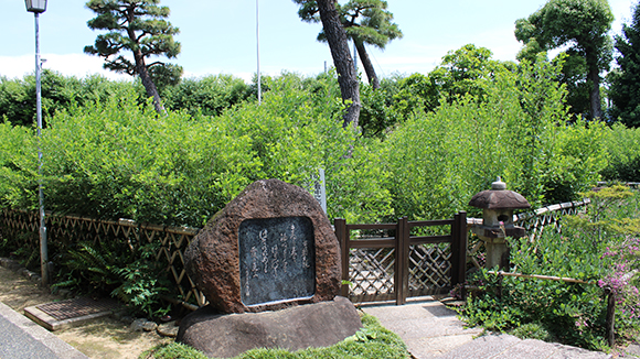 夏の画像1