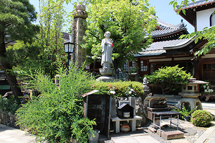 夏の画像2