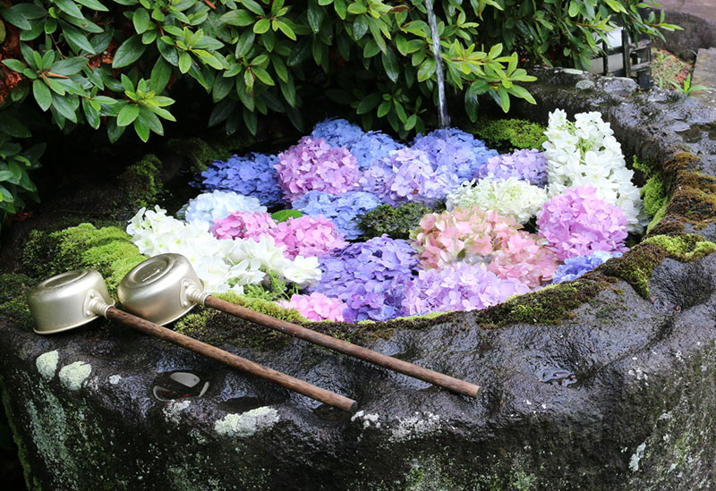 密厳山 誕生院
