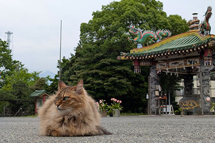 冬の画像2
