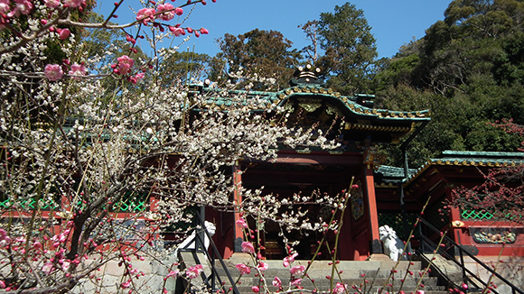 冬の画像1