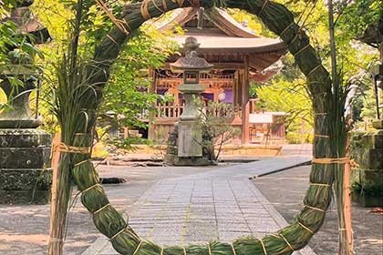 夏の画像2