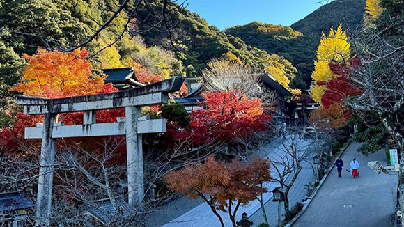 秋の画像1