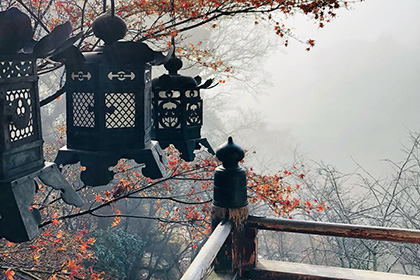 冬の画像2