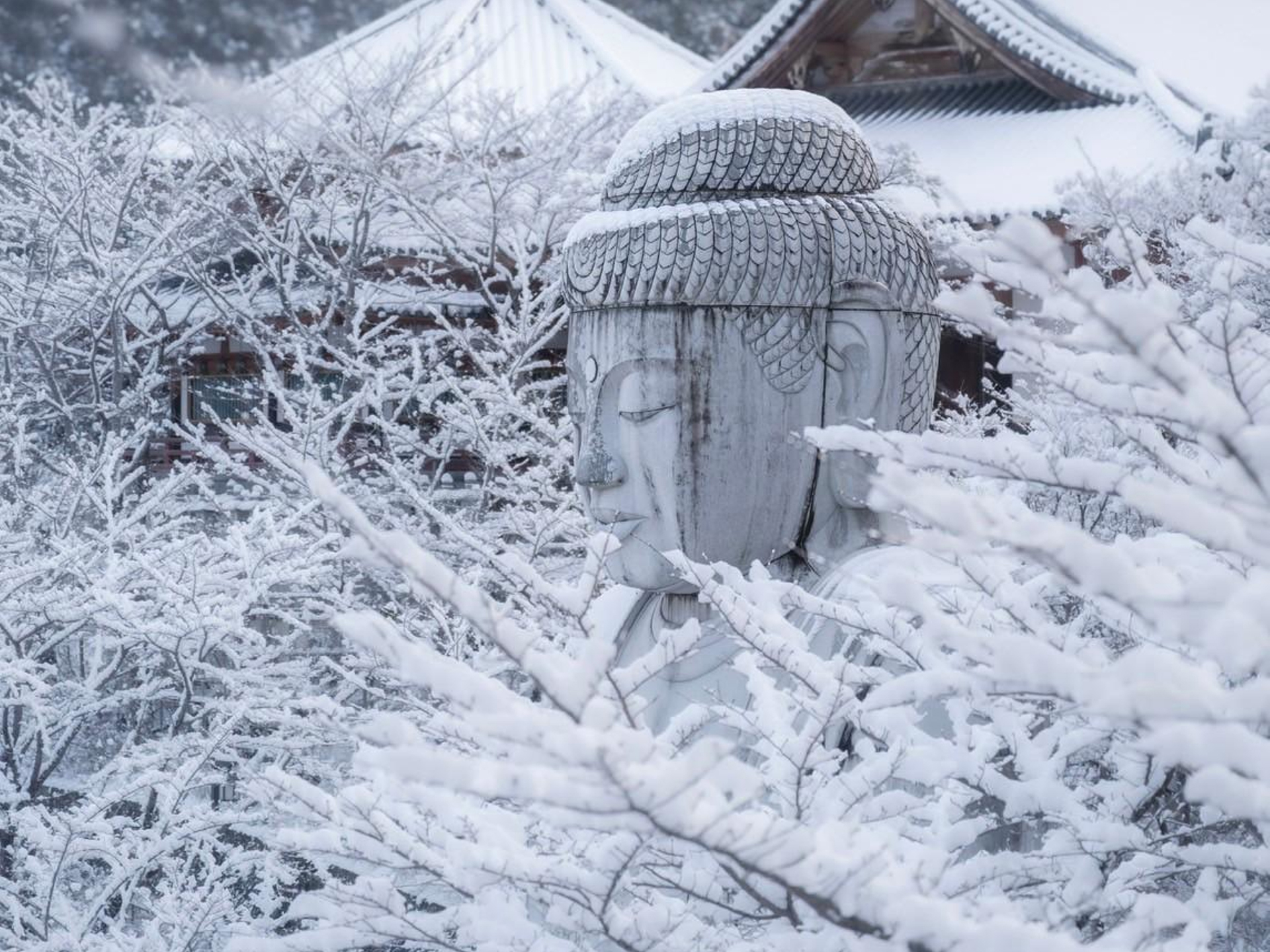 壺阪寺