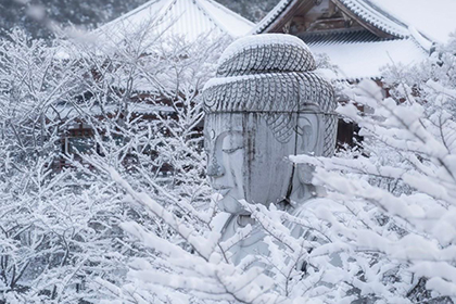 冬の画像2