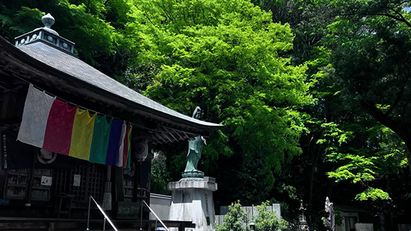 夏の画像1