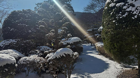 冬の画像1