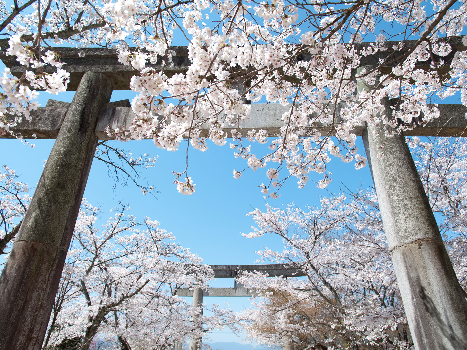 寶滿宮 竈門神社