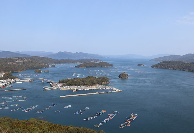 三和フェリー