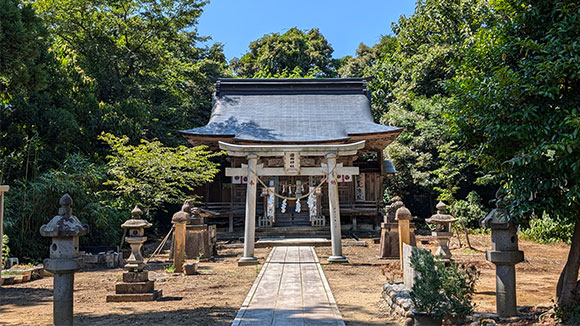 夏の画像1