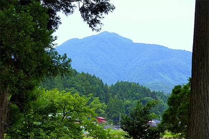 夏の画像2