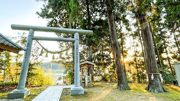 秋の画像1