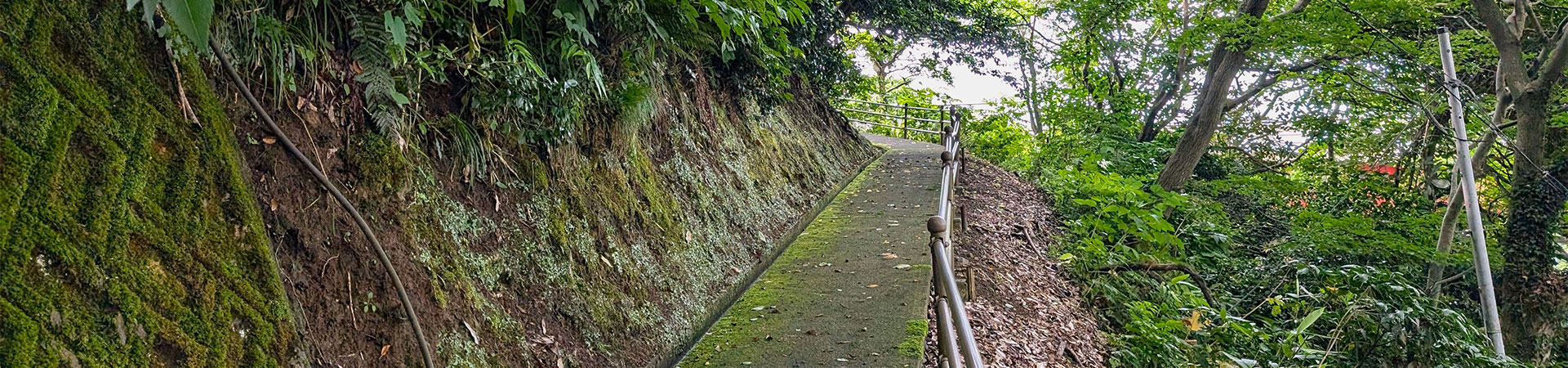胞姫神社
