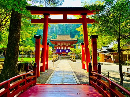 丹生都比賣神社