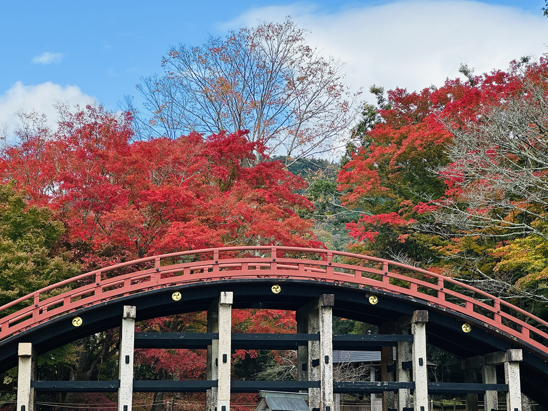 丹生都比賣神社