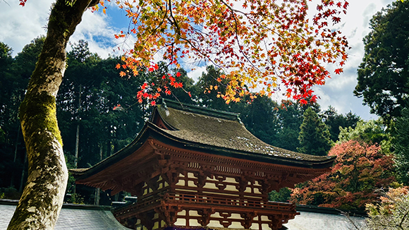 秋の画像1