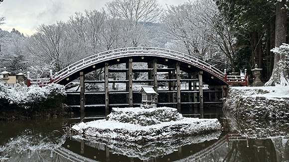 冬の画像1