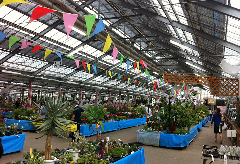 国華園 和泉本店