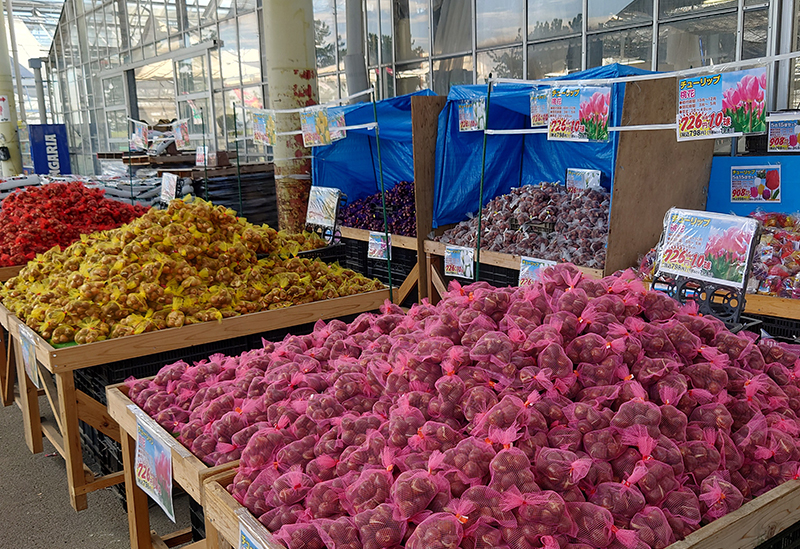 国華園 二色の浜店