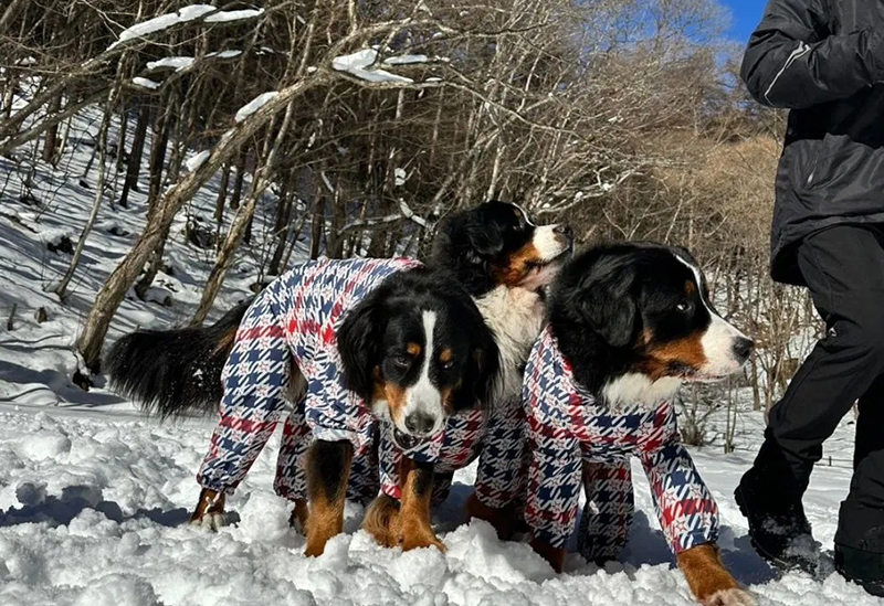 ワンドロップ株式会社