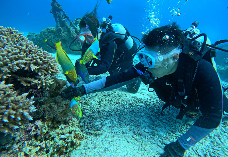 マリンクラブUMI