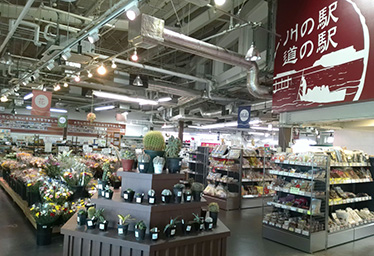 道の駅 水の郷さわら