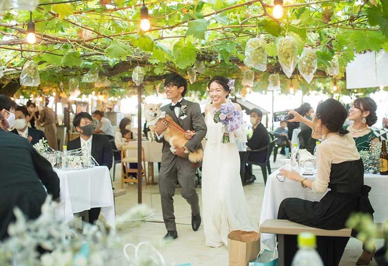 やまふじぶどう園