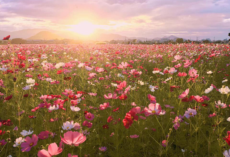 久保治 洞川温泉