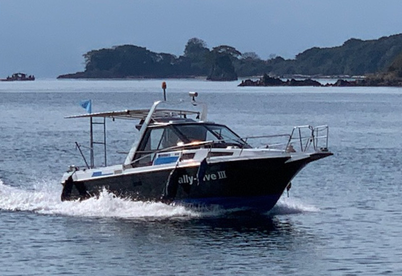 錦江湾クルーズ