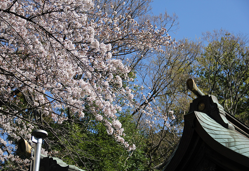 座間神社