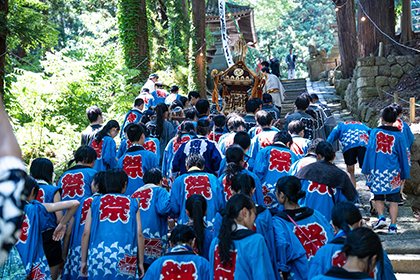 夏の画像2