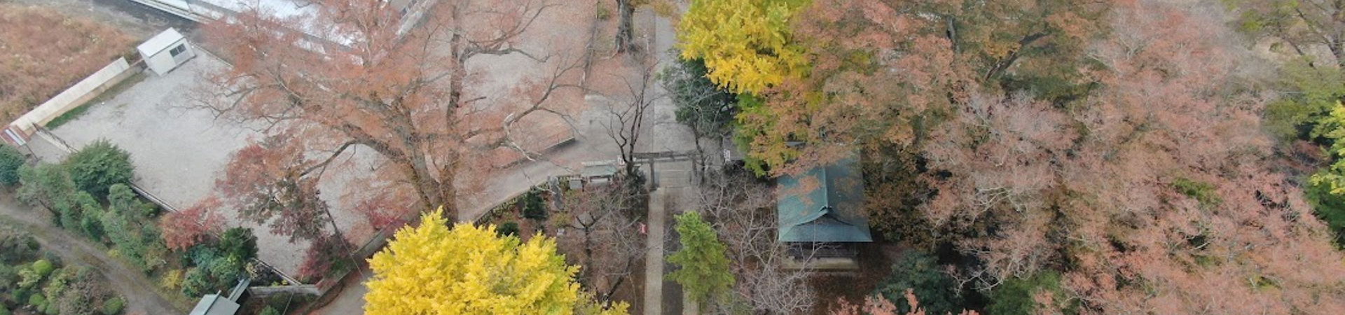 野木神社